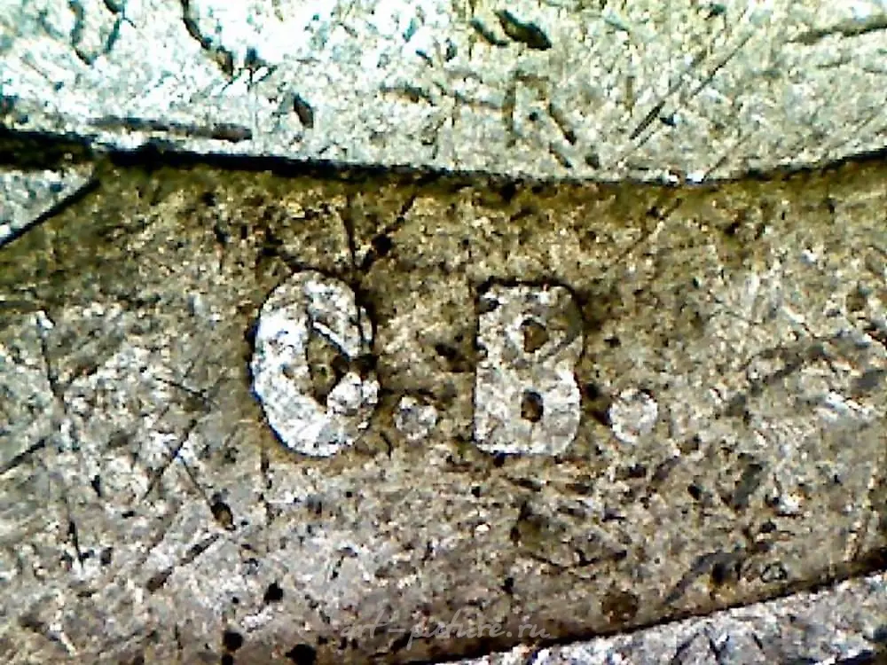 里加1894年的园艺协会 — 照片 2
