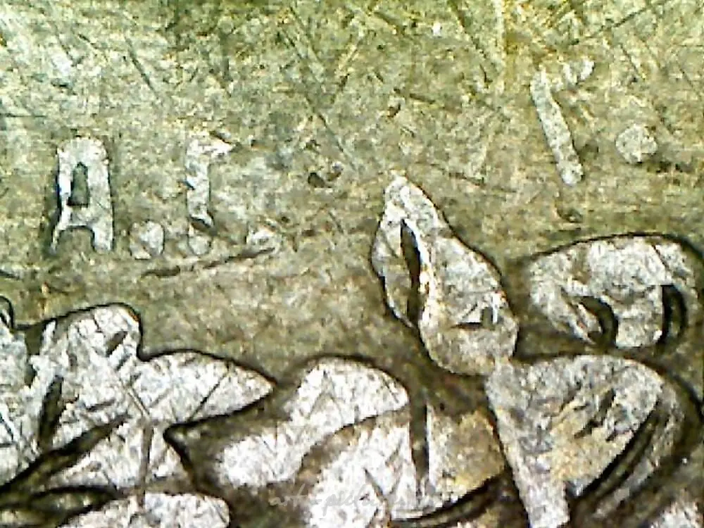 里加1894年的园艺协会 — 照片 4