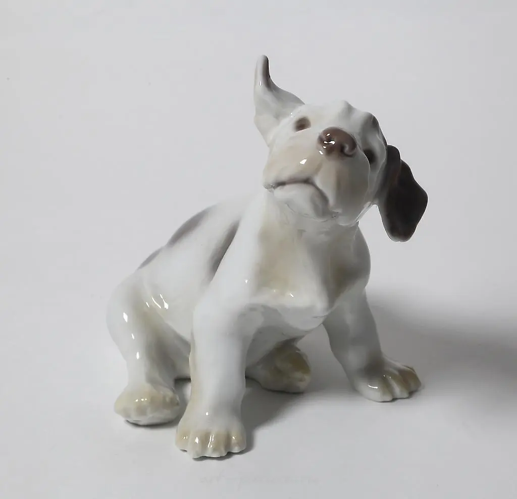 A puppy of the Sealyham Terrier. Denmark, Copenhagen, Bing & Grondahl.