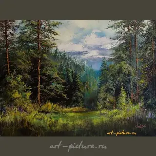 森林草地 油画，画布