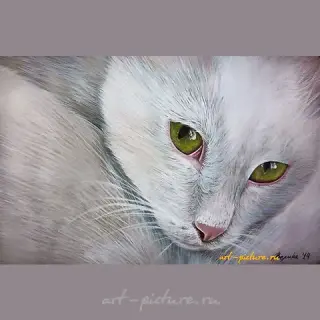 "Коть" акриль,акварельная бумага 