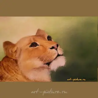 The translation of the text "Львица масло, холст на картоне" into English is "Lioness oil, canvas on cardboard."