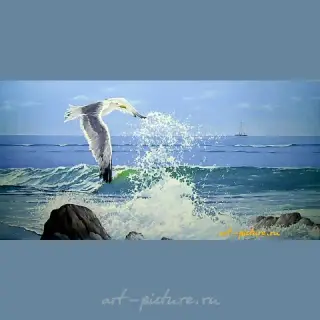 The translation of "Чайка холст, масло" into English is "Seagull canvas, oil."