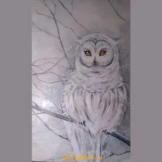 Совушка Холст,акрил