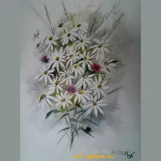 Ромашки бумага, акварель 