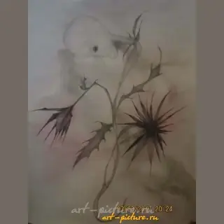 Цветы акварель,карандаш,акварельная бумага 