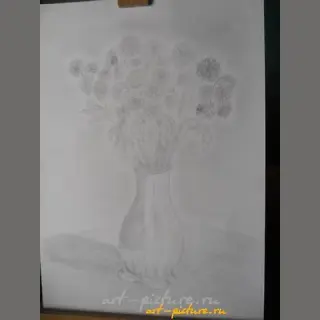 Хризантемы графика