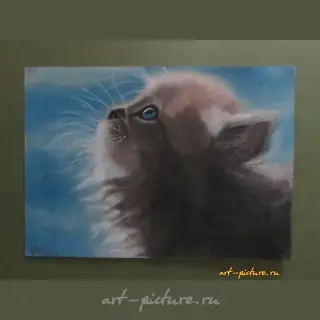 Котенок сухая пастель, бумага 