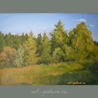 Лето холст,масло