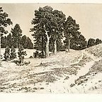 蚀刻：起源和品种的历史