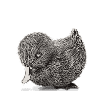 Статуэтка 布切拉提 雕塑作品 小鸭子