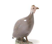 Статуэтка 鹧鸪。丹麦，哥本哈根，皇家哥本哈根，1898...