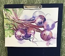 купить Свекла