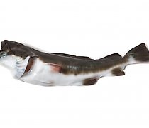 Статуэтка Фарфоровая фигура (ста...