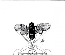 купить Неопределенность графика 