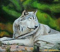 buy The translation of "Волк масло, холст" into English is "Wolf oil, canvas."