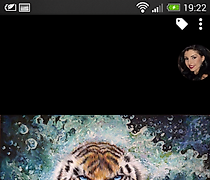 Статуэтка 老虎丙烯，MDF