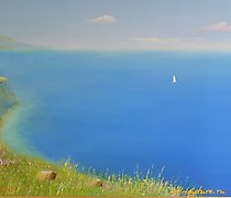 Статуэтка "Free swimming, canvas, …