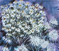 buy The translation of "Белый акцент Акварель" into English is "White Accent Watercolor."