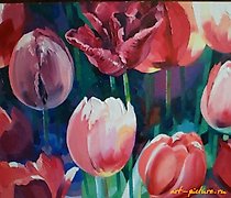 Тюльпаны масло, холст 