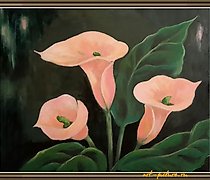 购买 丙烯酸马蹄莲,木材