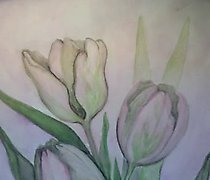 购买 郁金香 水彩,纸张