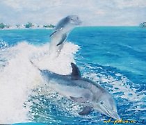 购买 海岸附近的克里米亚的海豚,油画,布面