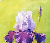 Статуэтка "Proud Iris, oil on card…