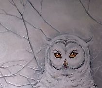 购买 "猫头鹰 画布,丙烯"