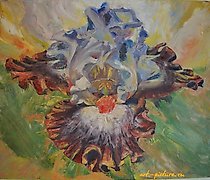 купить Ирис холст, масло 