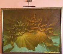 购买 翻译成简体中文是：鸢尾花油