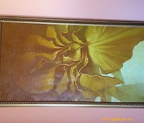 купить Ирисы малая Масло 