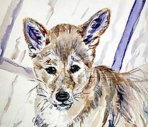 Статуэтка 从下面看纸，水彩画