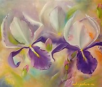 buy The translation of "Ирисы Масло" into English is "Iris Oil."