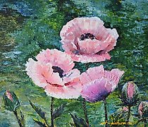 buy "Poppy oil, canvas"