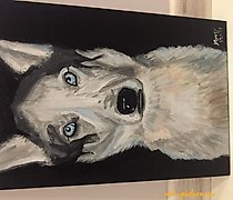 购买 哈士奇 亚克力，画布