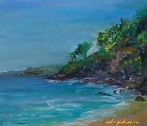 购买 沙漠海岸 油画，画布