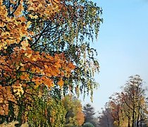 Статуэтка The translation of the t…