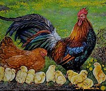 купить Петушиная семейка масло,холст 