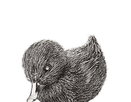 布切拉提 雕塑作品 小鸭子