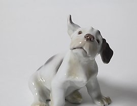 Щенок селинхем-терьера. Дания, г. Копенгаген, Bing & Grondahl