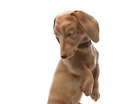 The porcelain figure "Dachshund." Rorstrand