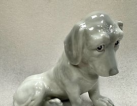 悲伤的狗，HEUBACH，德国