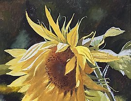 The translation of "Солнечный подсолнух" into English is "Sunny sunflower."