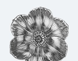 这个句子的简体中文翻译是：布切拉提小碟，水仙花 S。