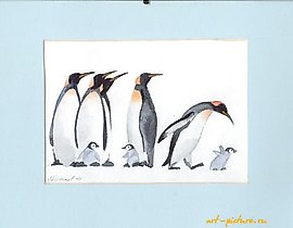 《企鹅-2》水彩