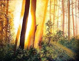 The text translates to "Awakening forest oil, canvas" in English.