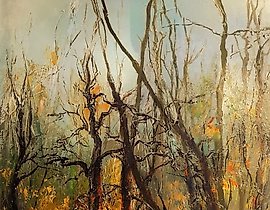 春天森林里的小溪