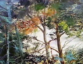 Каменистый берег