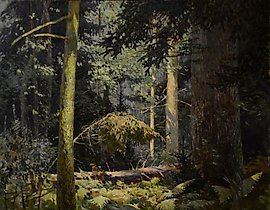 森林。画布，油画。